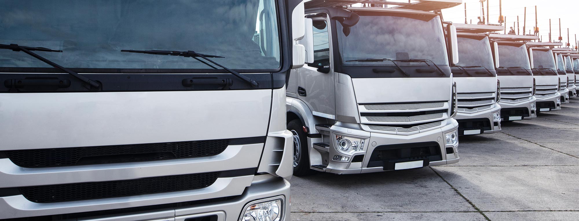 Transporte de carga pesada